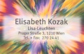 Logo Elektro Kozak  Inh. Elisabeth Kozak