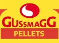 Logo Gussmagg GmbH