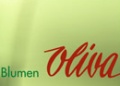 Logo Oliva Blumen in 8073 Feldkirchen bei Graz
