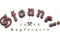 Logo Pub Stoanei