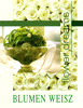 Logo Blumen Weisz Karl Weisz Ges.m.b.H.