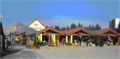 Logo Galla-Mayer  G�rtnerei & Blumenhaus