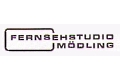 Logo Fernsehstudio M�dling Inh. Bernd Seper