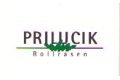 Logo Prilucik & Co GesmbH
