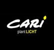 Logo Cari plant Licht in 6020  Innsbruck