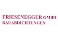Logo Friesenegger GmbH