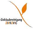 Logo Zivkovic Mladan