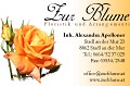Logo Zur Blume Floristik und Arrangements  Inh. Alexandra Apolloner