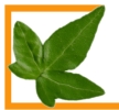 Logo Ihr Gartengestalter  Dipl.-Ing. Christopher Wopalensky