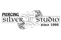 Logo Silver Studio