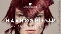 Logo Haarosphair OG Christina Lang & Nadine Rechberger in 8272 Sebersdorf