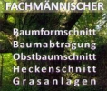Logo Schmatz Herbert