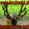Logo Almwirt  Mario Schrattenthaler