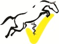 Logo Dr. Rainer Lorenz Tier�rztliche Praxis f�r Pferde