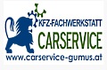 Logo Car-Service-Gümüs in 1110 Wien