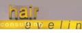 Logo hair consulting evelin