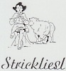 Logo: Strickliesl Handarbeitsfachgesch�ft  Renate Scherf