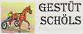 Logo Gasthaus Schöls in 3754 Irnfritz