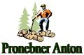 Logo Pronebner Anton