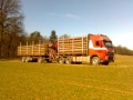 2. Bild / Graf Wolfgang GmbH Transporte & Holzhandel