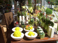 1. Bild / Blumen Schneider  Inh. Ing. Josef Hübel