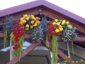 2. Bild / Blumen Ressmann