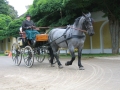 2. Bild / Landhotel Postgut Klary KG