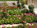 2. Bild / Blumen Gasser OG