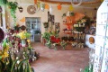 3. Bild / Blumenstube Traude Pacher