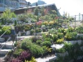 2. Bild / Brandstätter Blumen & Gartendesign KEG