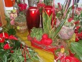 3. Bild / Blumen Hasenhütl