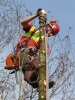 3. Bild / Baumwerk  Traunbauer Matthias