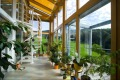 1. Bild / Bruckner Fenster und Türen GmbH