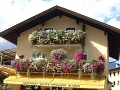 1. Bild / Gwiggner Walter Blumenhaus