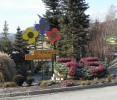 1. Bild / Blumen Ressmann