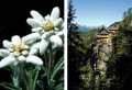 1. Bild / Dolomitenhütte  Berggasthaus GmbH