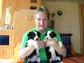 1. Bild / Ganzheitliche Tiermedizin  Tierarzt Mag. med.vet.Helmut Leitner