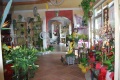 2. Bild / Blumenstube Traude Pacher