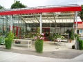 3. Bild / Blumen Renat - Köberl