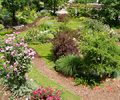 3. Bild / Wolowiec Gartenbau-Baumschule