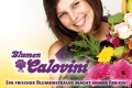 2. Bild / Blumen Calovini  Inh. Karin Calovini