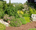 1. Bild / Wolowiec Gartenbau-Baumschule