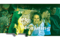 1. Bild / brainbox