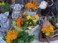 2. Bild / Blumen Hasenhütl