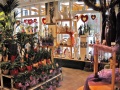 1. Bild / Blumen Gasser OG