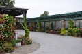 2. Bild / Oliva Blumen