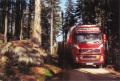 1. Bild / Graf Wolfgang GmbH Transporte & Holzhandel