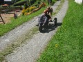 2. Bild / Gasthaus Goglhof