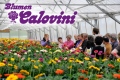 3. Bild / Blumen Calovini  Inh. Karin Calovini
