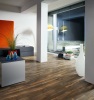 1. Bild / Holzwurm KG